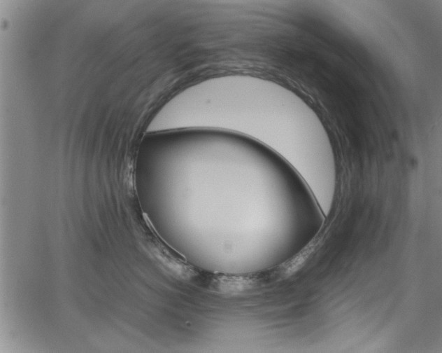 X0000065980766200603030930