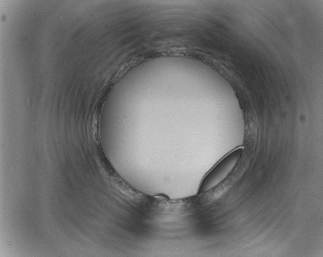 X0000065980767200603030930