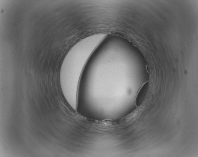 X0000065980768200603030930