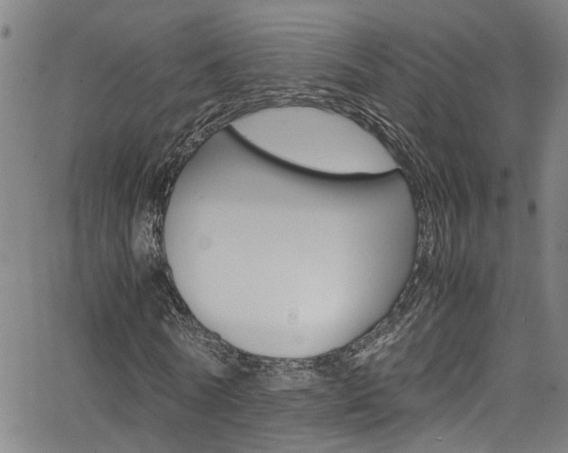 X0000065980770200603030929