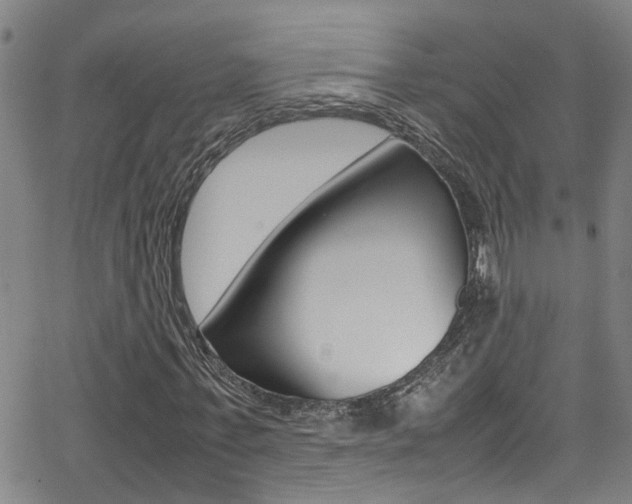 X0000065980771200603030929