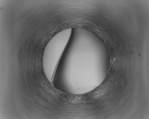 X0000065980772200603030929