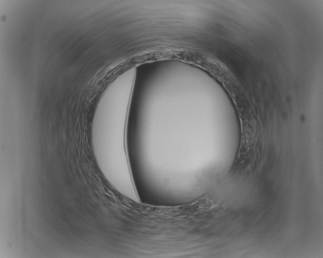 X0000065980773200603030929