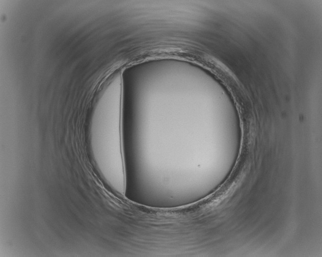 X0000065980777200603030929