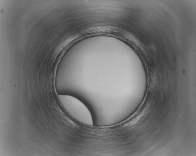 X0000065980778200603030929