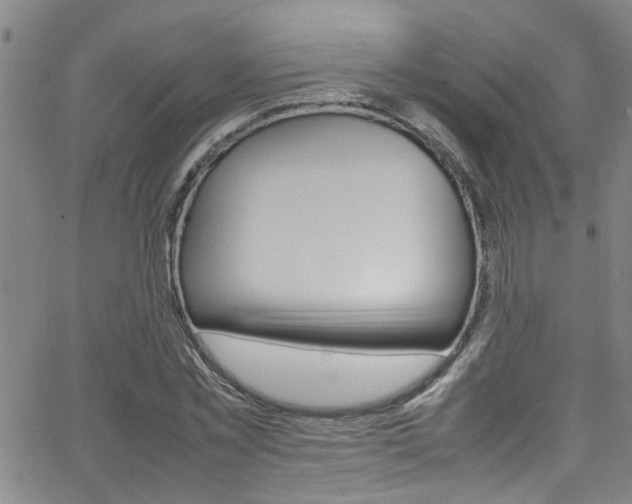 X0000065980781200603030929