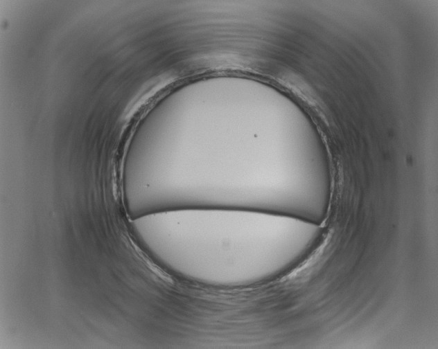 X0000065980782200603030929