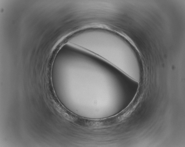 X0000065980783200603030929