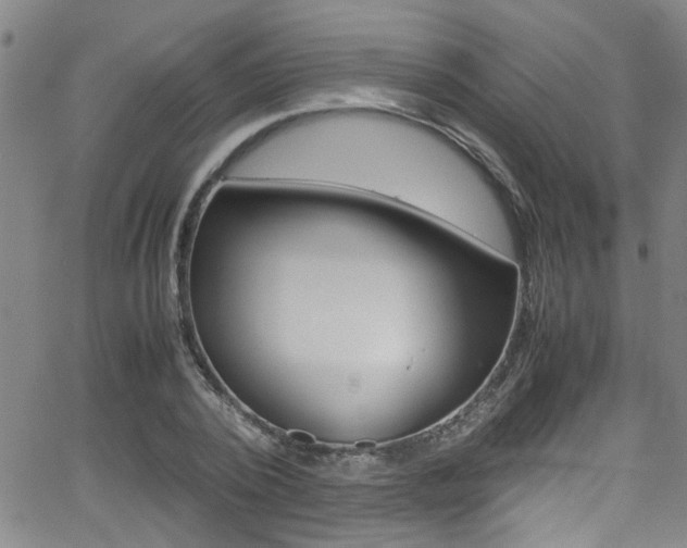 X0000065980784200603030929