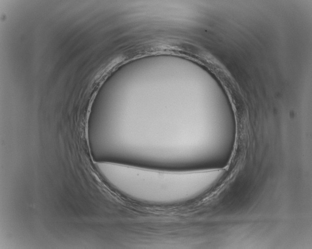 X0000065980785200603030929