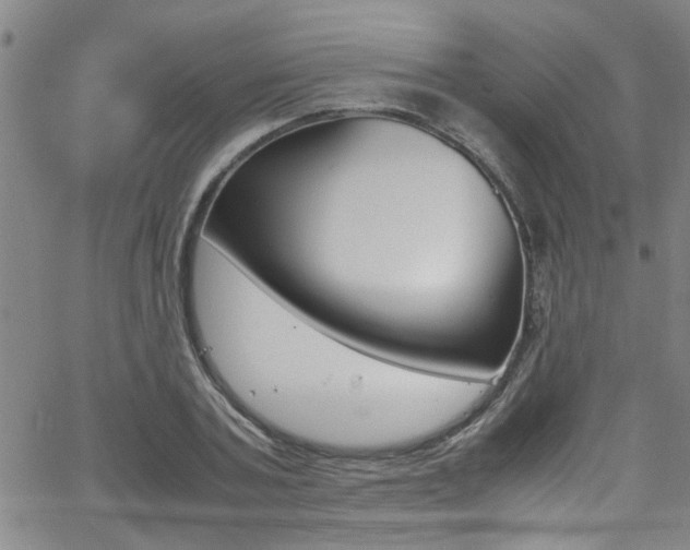 X0000065980787200603030929