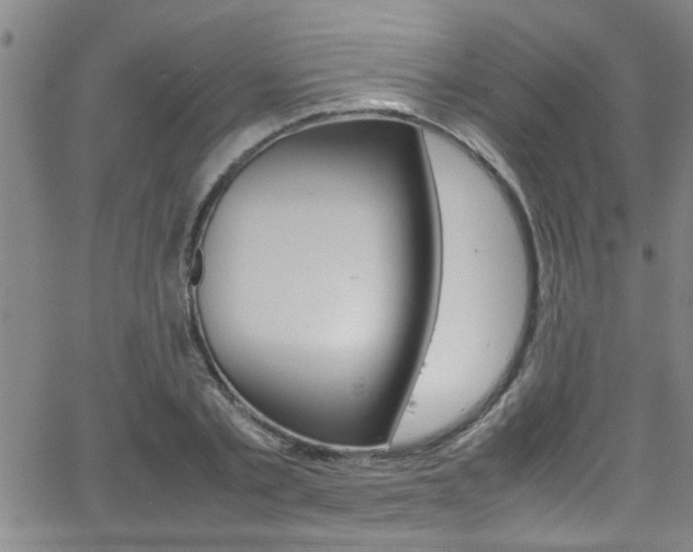 X0000065980789200603030929