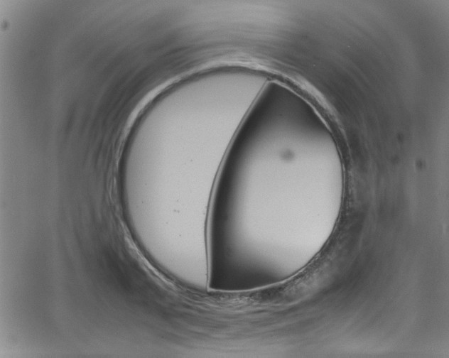 X0000065980791200603030929