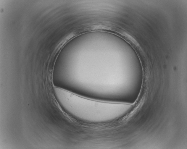 X0000065980793200603030929