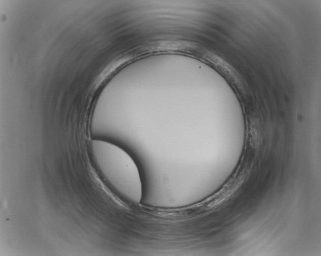 X0000065980794200603030929