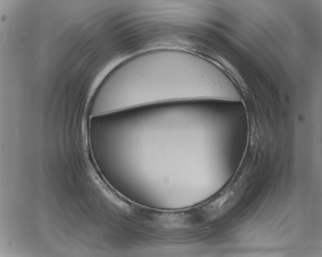 X0000065980796200603030929