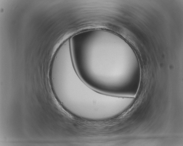 X0000065980797200603030929