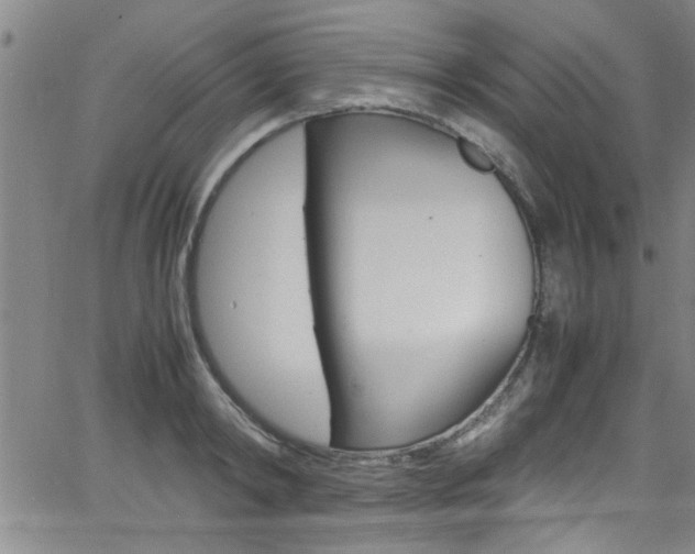 X0000065980798200603030929