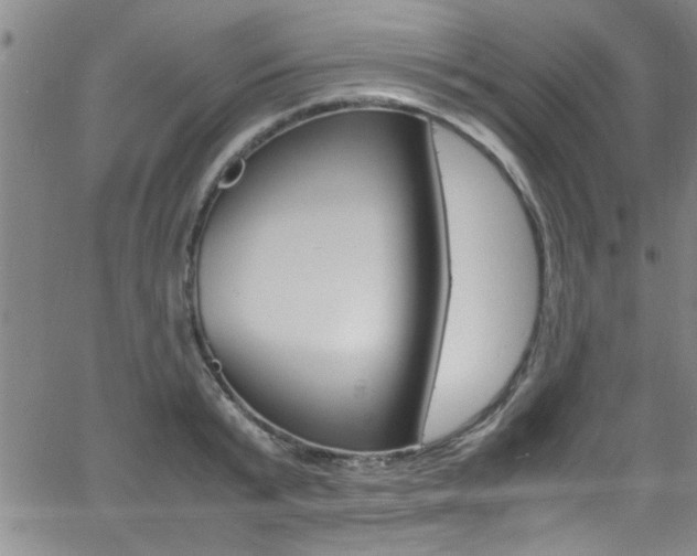 X0000065980799200603030929