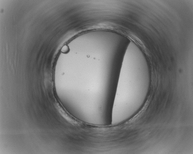 X0000065980800200603030929