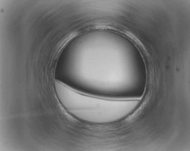 X0000065980801200603030929