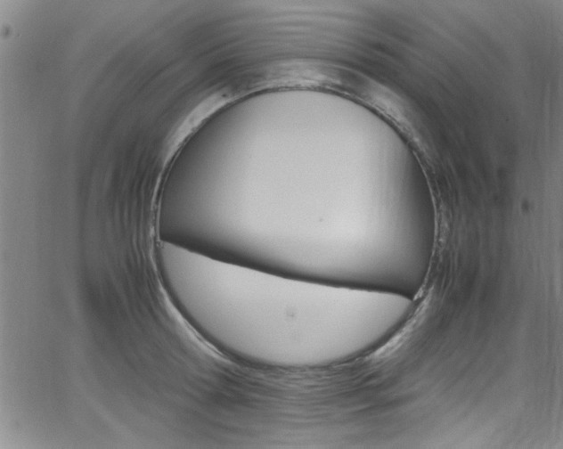 X0000065980802200603030929