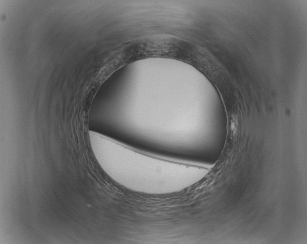X0000065980867200603030927