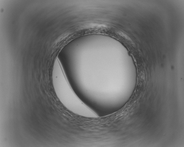 X0000065980869200603030927