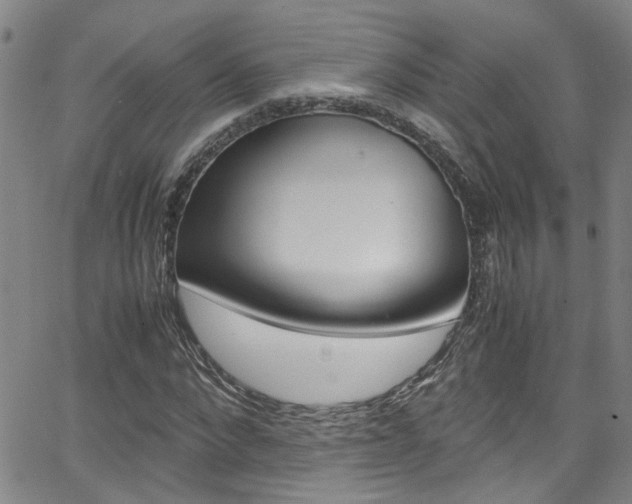 X0000065980872200603030927