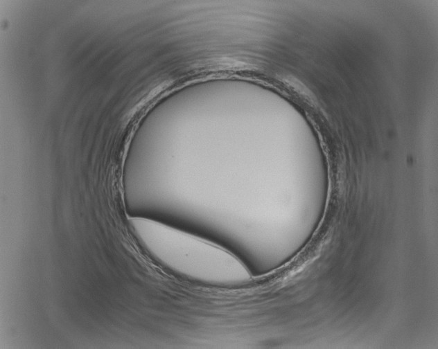 X0000065980873200603030927