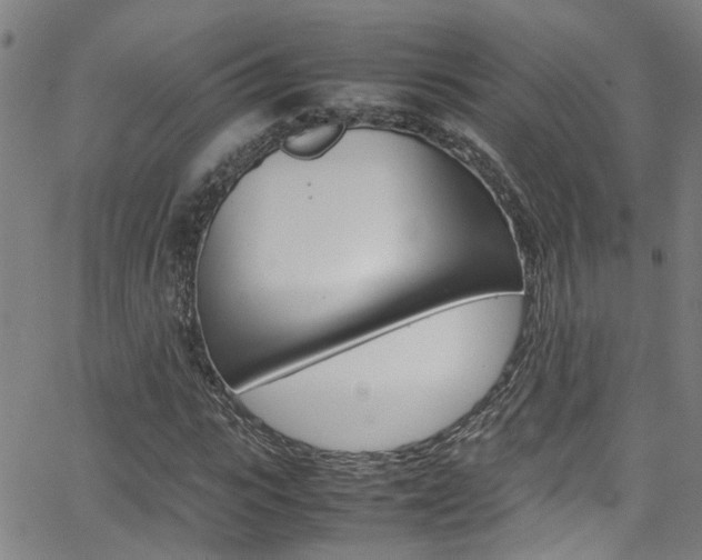 X0000065980919200603030926