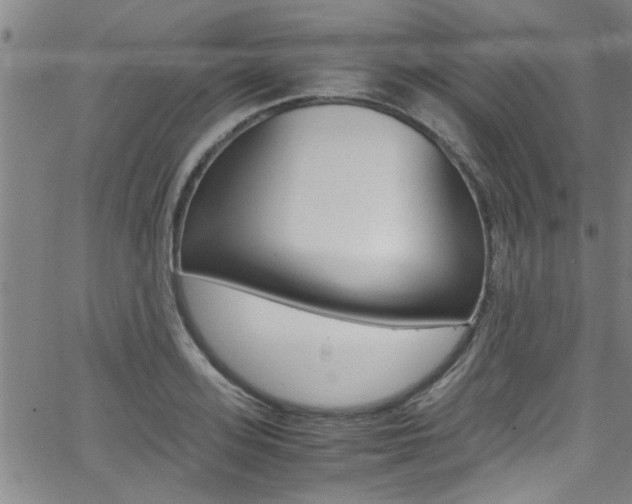 X0000065980939200603030926