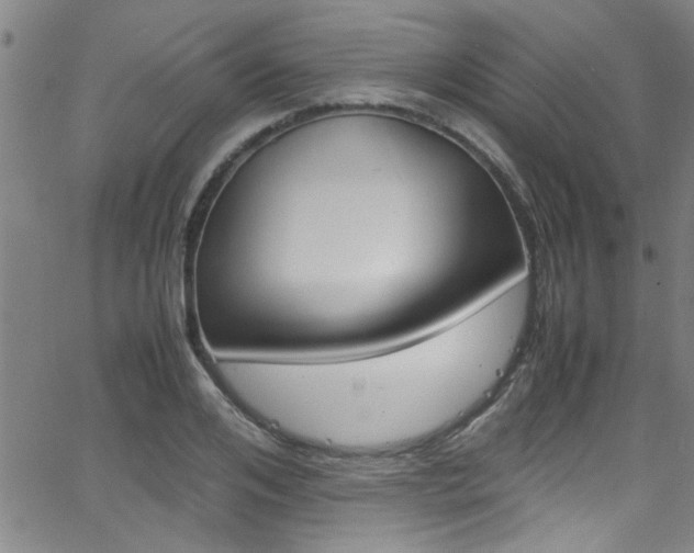 X0000065980984200603030926