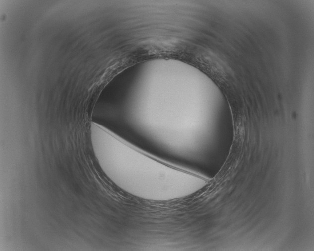 X0000065981012200603030924