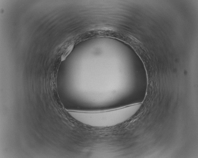 X0000065981014200603030924