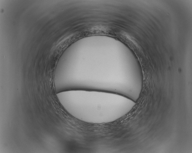 X0000065981015200603030924