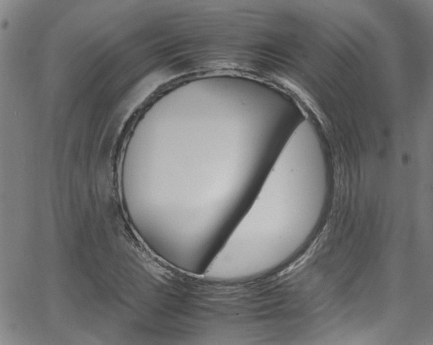 X0000065981023200603030925