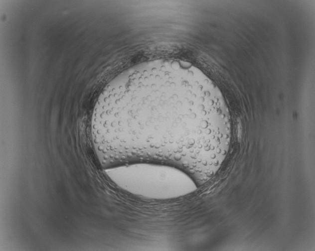 X0000065981059200603030924