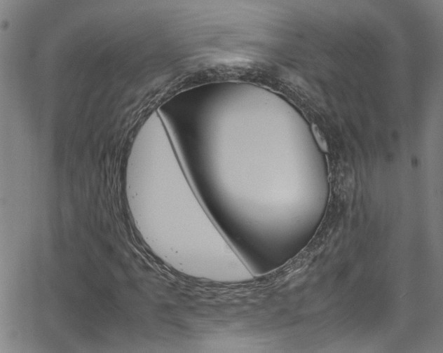 X0000065981061200603030924