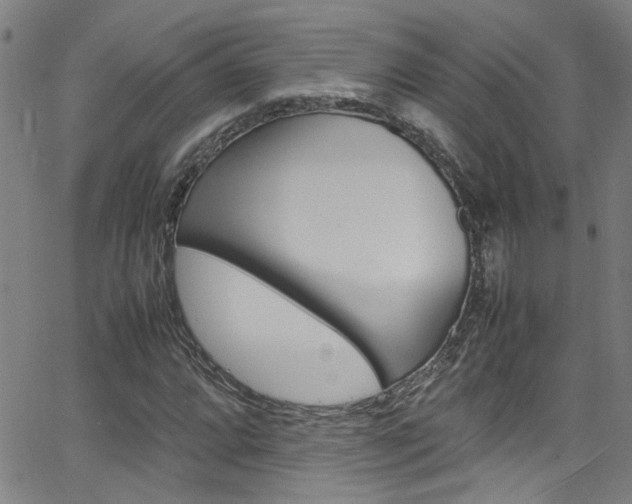 X0000065981064200603030924