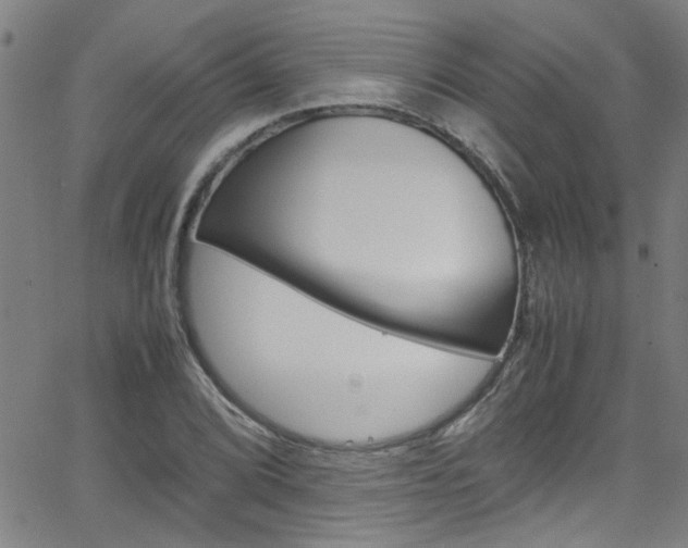 X0000065981072200603030924