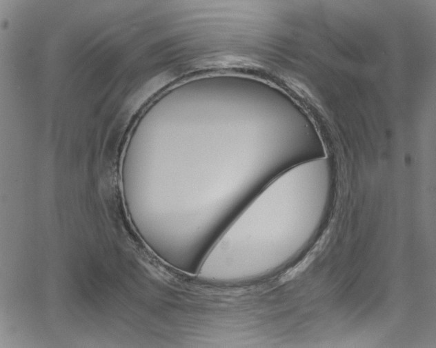 X0000065981073200603030924