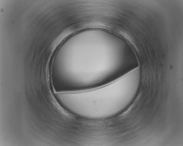 X0000065981082200603030924