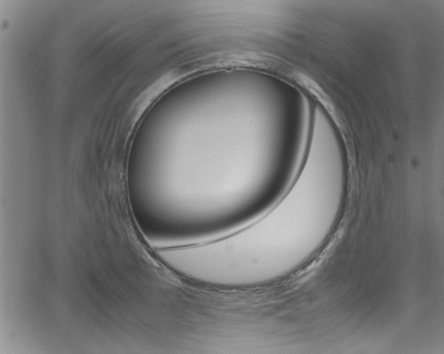 X0000065981089200603030924