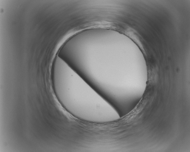 X0000065981099200603030924