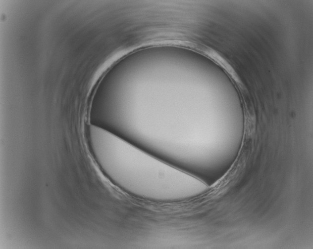 X0000065981101200603030924