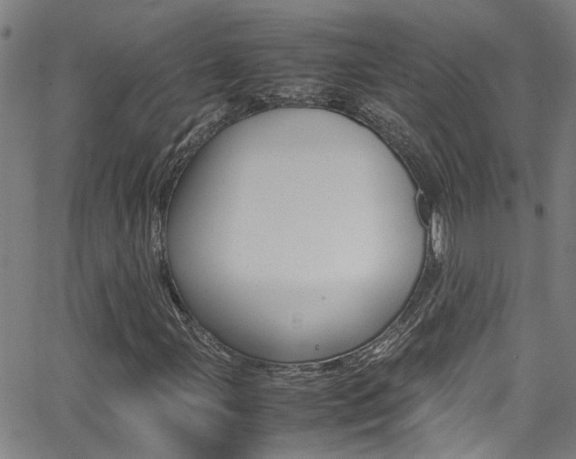 X0000065981107200603030923