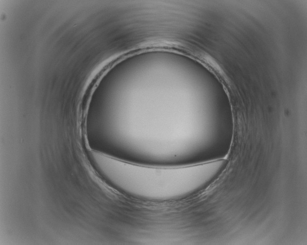 X0000065981124200603030923