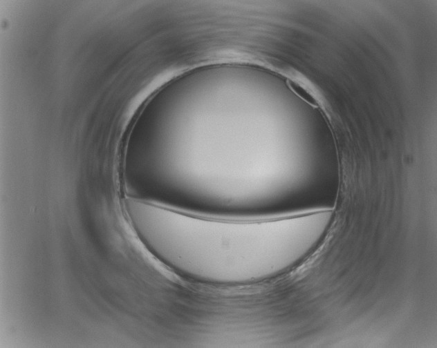 X0000065981142200603030923