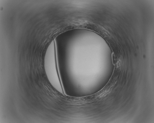 X0000065981156200603030923